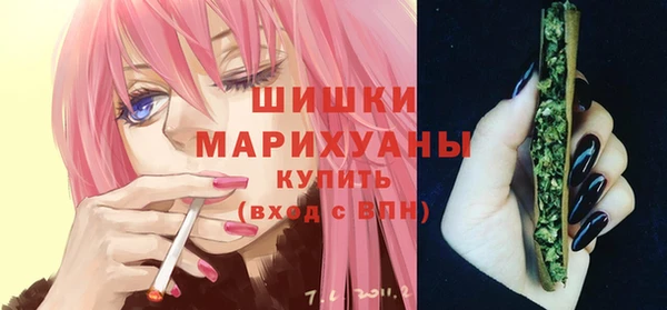 кокс Гусев