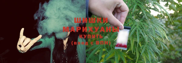 сатива Гусиноозёрск
