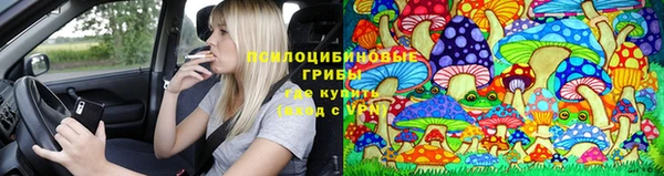 дмт Гусь-Хрустальный