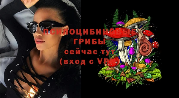 молекула духа Покачи