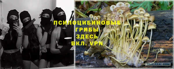 дмт Гусь-Хрустальный