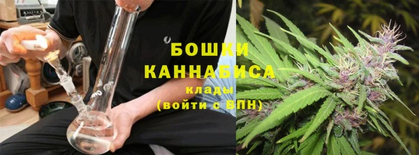 сатива Гусиноозёрск