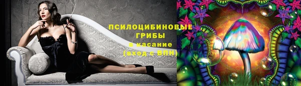 кокс Гусев