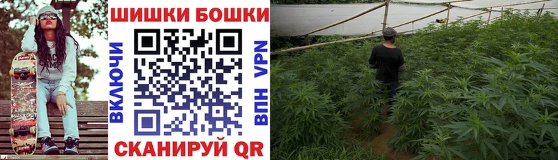 Купить где  Кириши  Шишки марихуана VHQ 